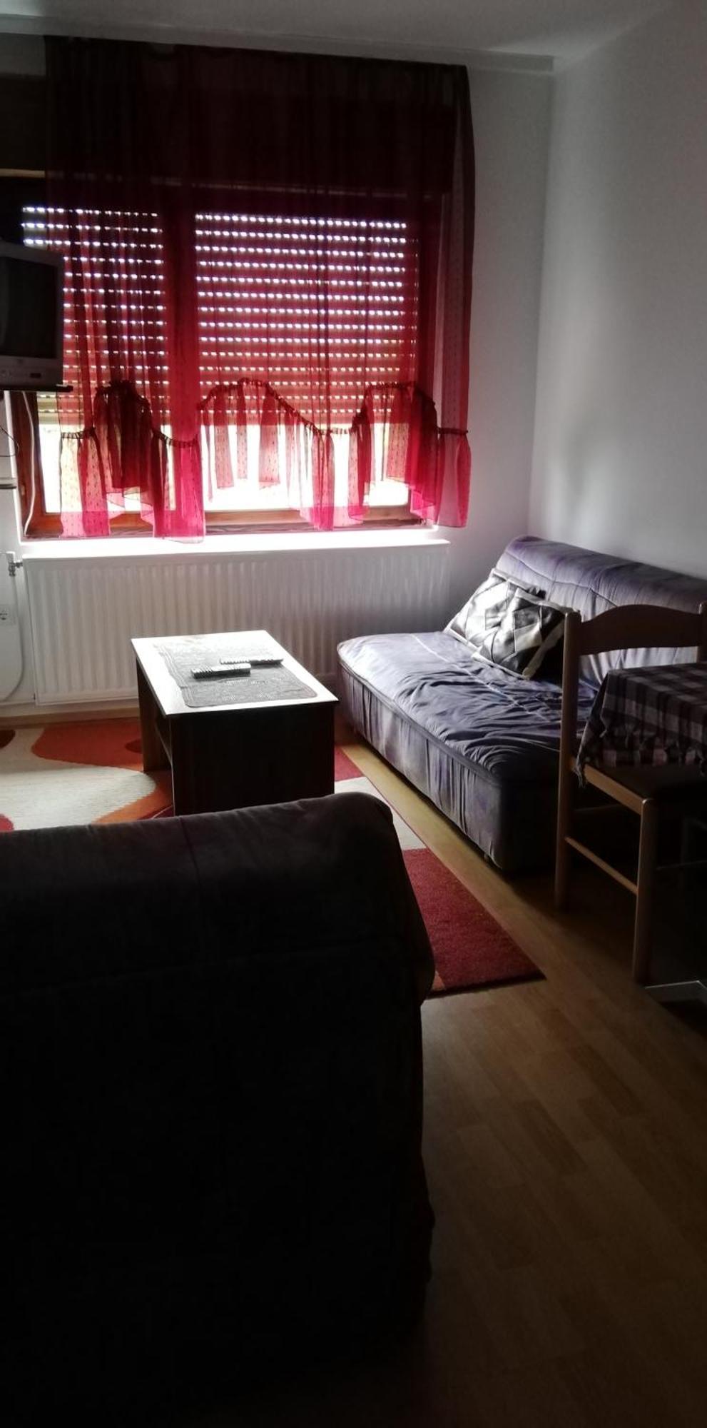 Dokic Apartmani Soko Banja Δωμάτιο φωτογραφία